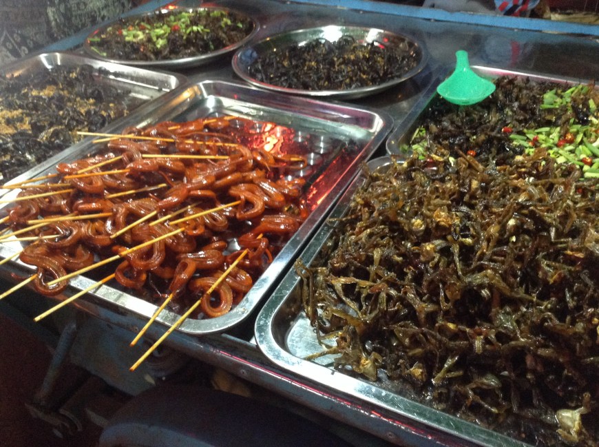Anybody hungry??! Here we have snakes on a stick, grubs, crickets, frogs and my favorite... Tarantulas! ;)