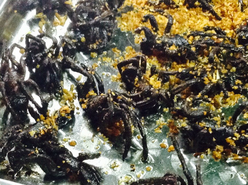 Tarantula. Giant, black, hairy tarantula. This is not a 7 year olds pet. This is food. People actually ear this... Like popcorn or chips or something!