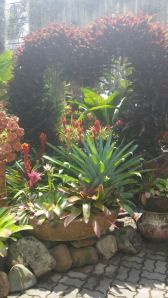 Pottery & Orchid Gardens